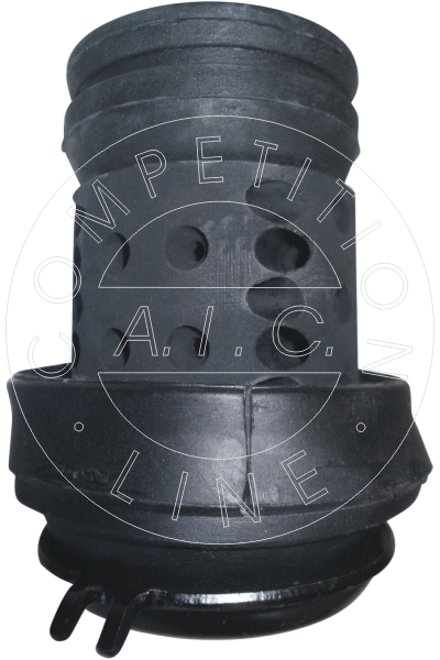 Mounting, engine (50208)