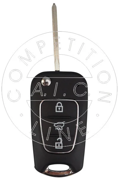 Hand-held Transmitter Housing, central locking