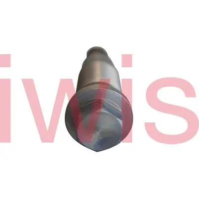 Tensioner, timing chain