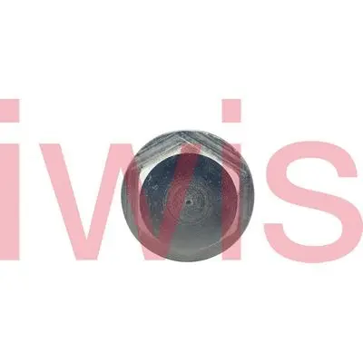 Tensioner, timing chain