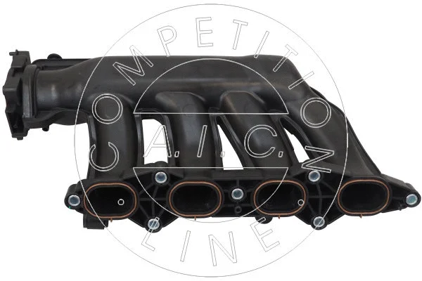 Intake Manifold Module