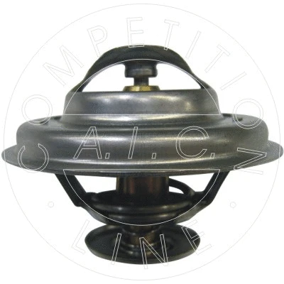 Thermostat, coolant (51180)