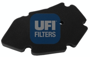 Air Filter (27.496.00)