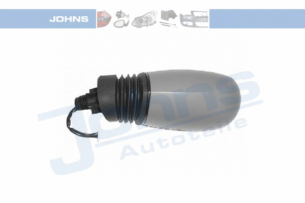 Exterior Mirror (30 18 37-21)