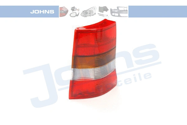 Tail Light Assembly (55 07 87-4)