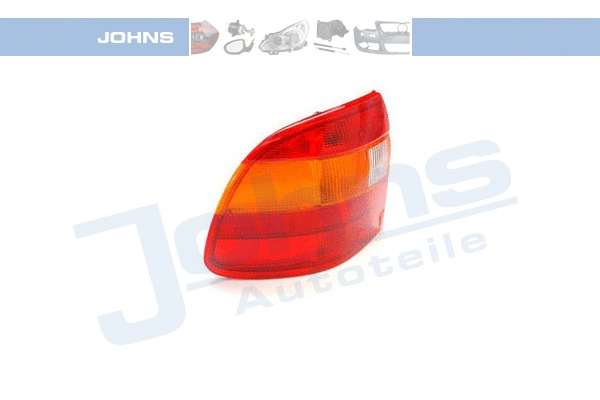Tail Light Assembly (55 07 87-5)