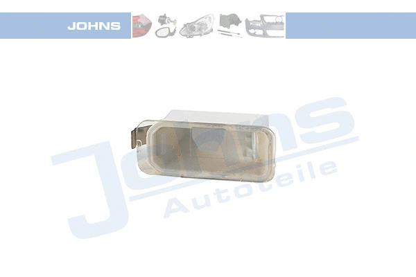 Licence Plate Light (32 19 87-95)