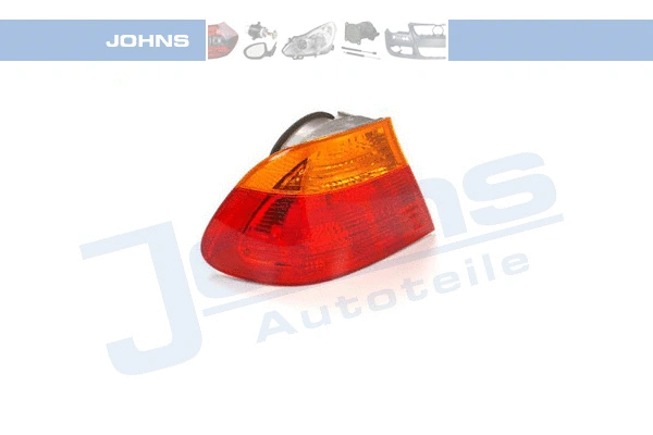 Tail Light Assembly (20 08 87-31)