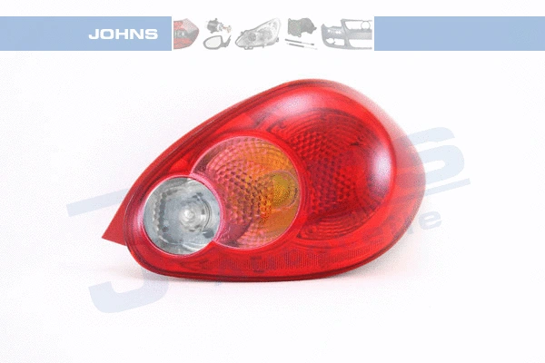 Tail Light Assembly (81 01 88-1)