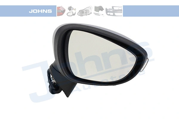 Exterior Mirror (32 03 38-65)