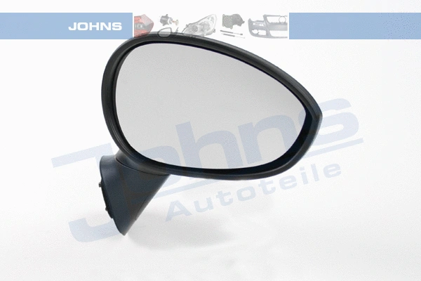 Exterior Mirror (30 03 38-21)