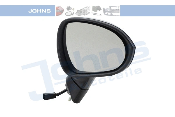Exterior Mirror (67 16 38-21)