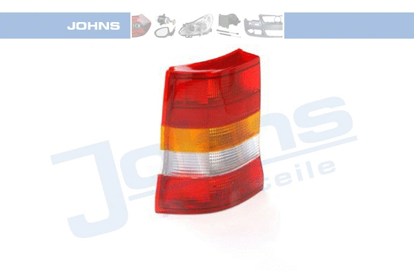 Tail Light Assembly (55 07 87-3)