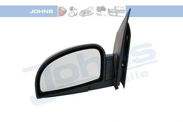 Exterior Mirror (39 03 37-21)