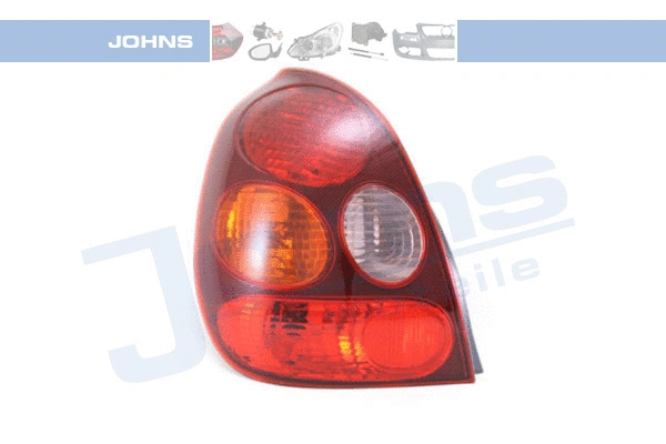 Tail Light Assembly (81 10 87-1)