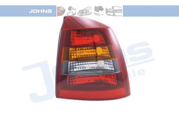Tail Light Assembly (55 08 88-31)