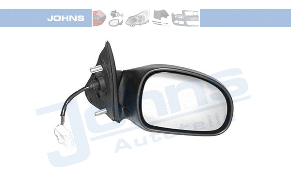 Exterior Mirror (57 46 38-61)