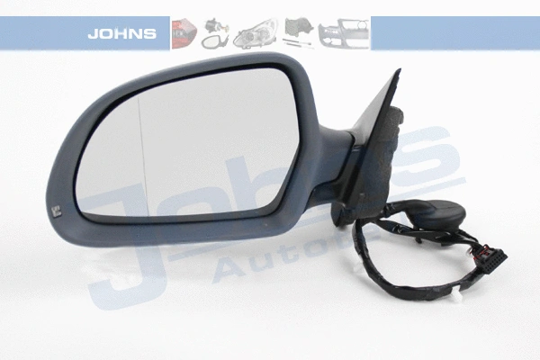 Exterior Mirror (13 02 37-31)