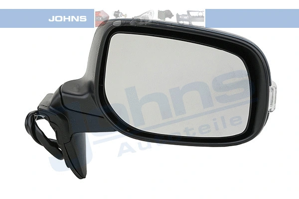 Exterior Mirror (81 16 38-61)