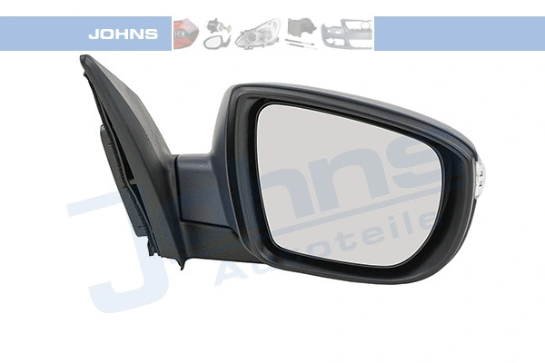 Exterior Mirror (39 66 38-24)