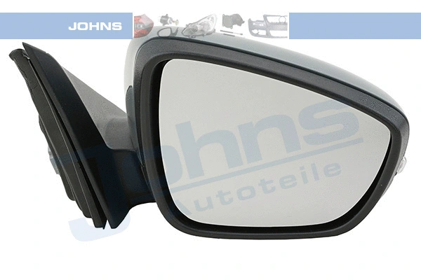 Exterior Mirror (32 25 38-21)
