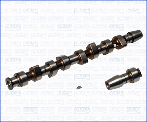 Camshaft (93009300)