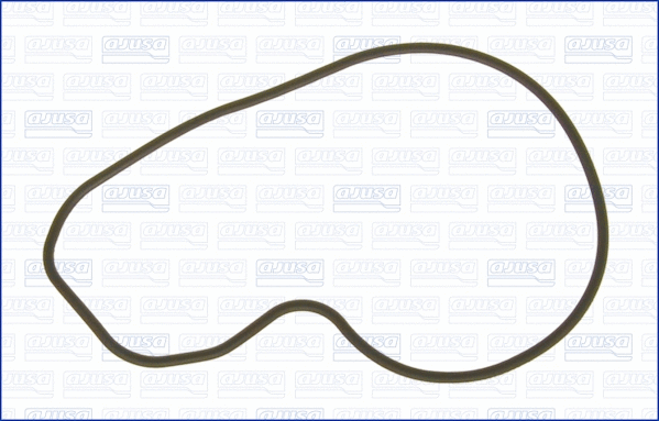 Gasket, water pump (01157400)