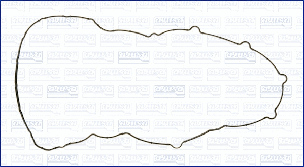 Gasket, cylinder head cover (11089300)