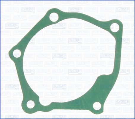 Gasket, water pump (01102500)