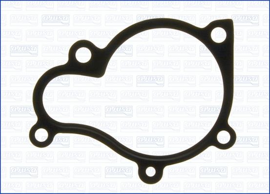 Gasket, water pump (01003100)