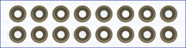 Seal Set, valve stem (57052600)