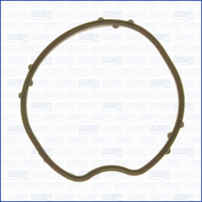 Seal, thermostat (01183400)