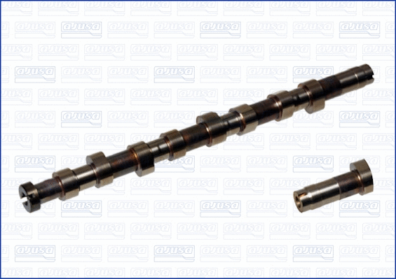 Camshaft (93124100)