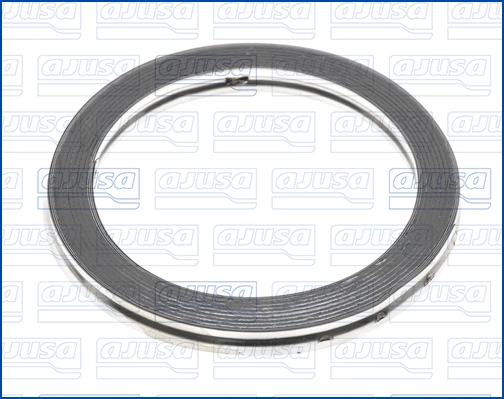 Seal Ring, exhaust pipe