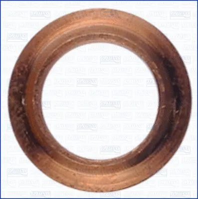 Seal Ring, injector (01079500)