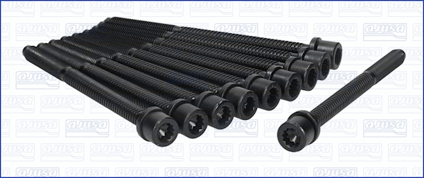 Cylinder Head Bolt Set (81049000)