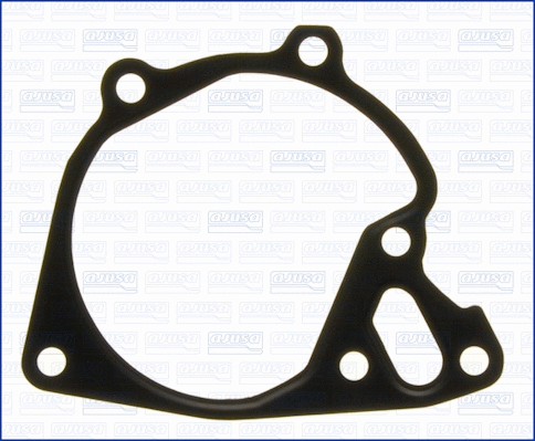 Gasket, water pump (01244900)