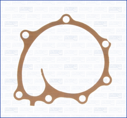 Gasket, water pump (01005400)