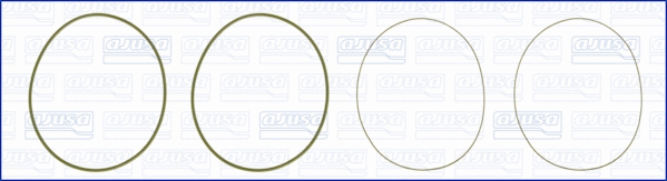 O-Ring Set, cylinder sleeve (60007900)