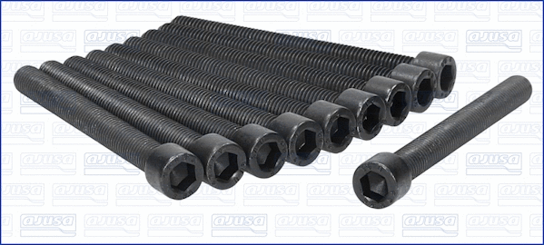 Cylinder Head Bolt Set (81005900)