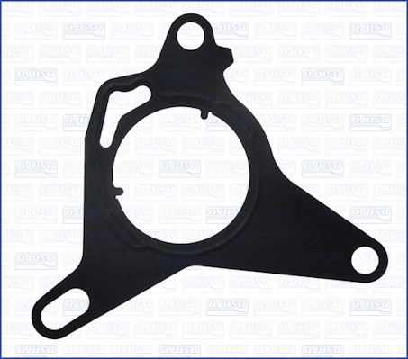 Gasket, vacuum pump (01322400)