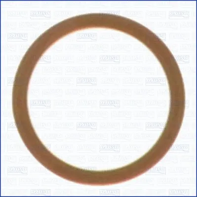 Seal Ring, oil drain plug (21016900)