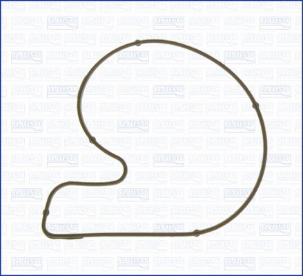 Gasket, water pump (01022500)