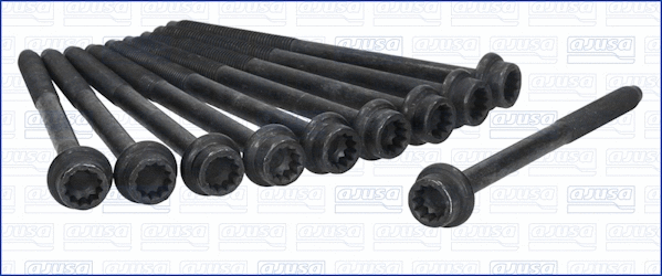 Cylinder Head Bolt Set (81037200)