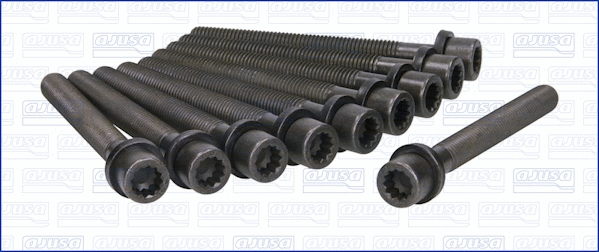 Cylinder Head Bolt Set (81000400)