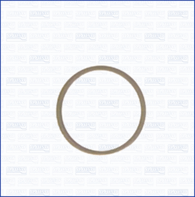 Seal Ring, oil drain plug (22004800)