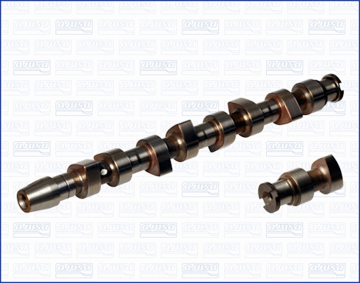 Camshaft (93163200)