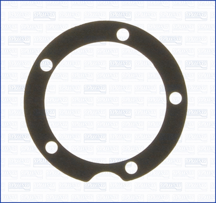 Gasket, water pump (00175100)