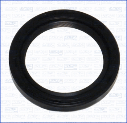 Shaft Seal, crankshaft (15010100)