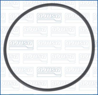 Gasket, vacuum pump (16528600)